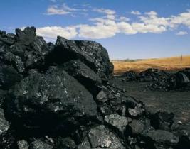 產地焦煤：分煤種走勢出現分化