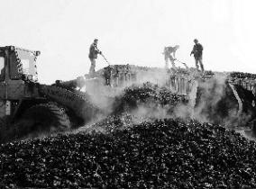 統(tǒng)計(jì)局：1月下旬全國(guó)焦炭?jī)r(jià)格報(bào)1944.8元/噸較上一周期下降7%