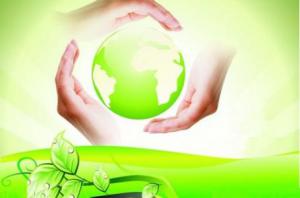 鼓勵生物質發電促低碳清潔發展