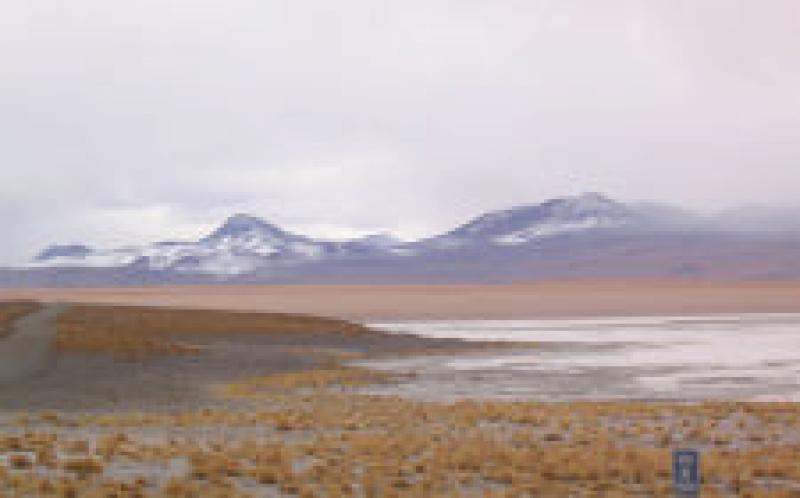 RFP：技術(shù)協(xié)調(diào)地?zé)衢_(kāi)發(fā)，Laguna Colorada，玻利維亞