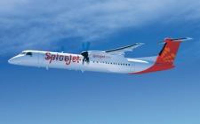 麻風樹：印度的第一次生物燃料飛行