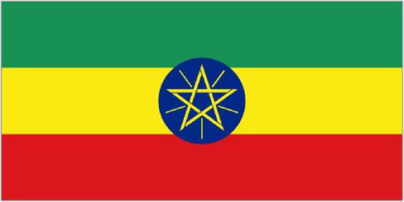 埃塞俄比亞能源概況：生物質及最佳實踐案例