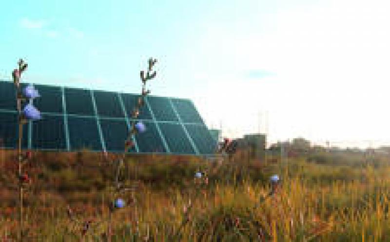 太陽能和能源存儲在印第安納州贏得大獎