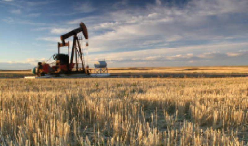 印度原油產量下降4.19％，推動9月份進口依賴度達到83.7％