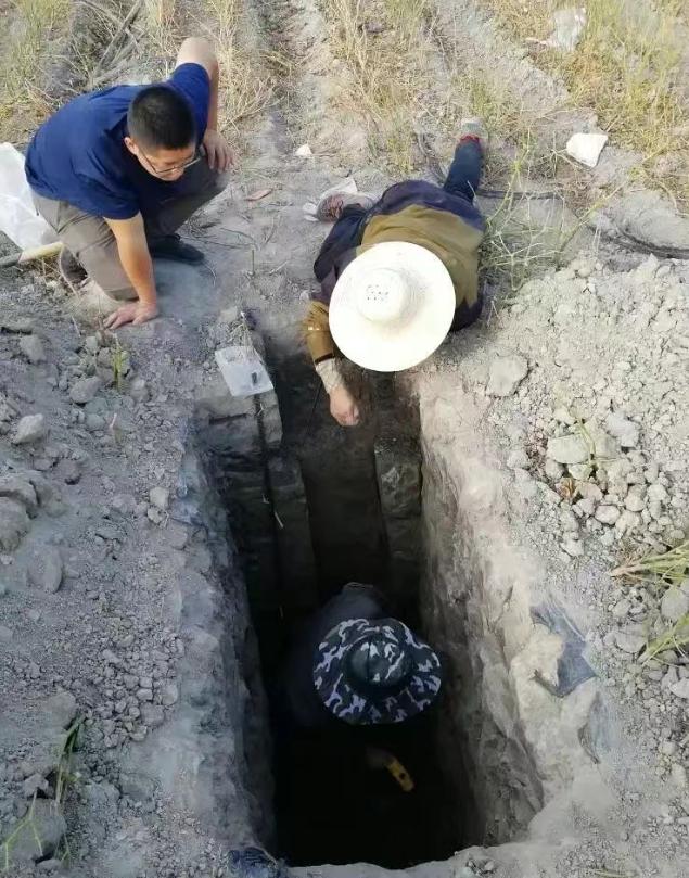 重大突破！新疆發現近千公里“硒腰帶”