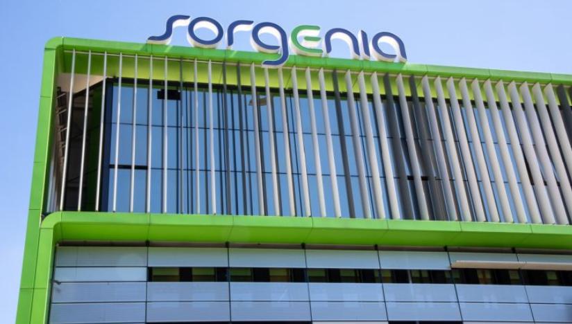 Sixth Street收購Sorgenia股份布局歐洲可再生能源市場