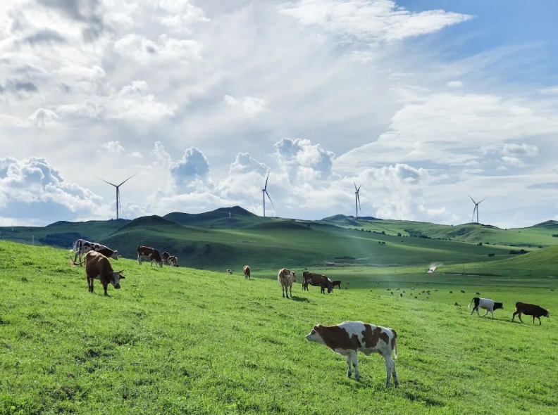 中廣核國(guó)內(nèi)風(fēng)電、光伏等新能源在運(yùn)裝機(jī)突破7000萬(wàn)千瓦