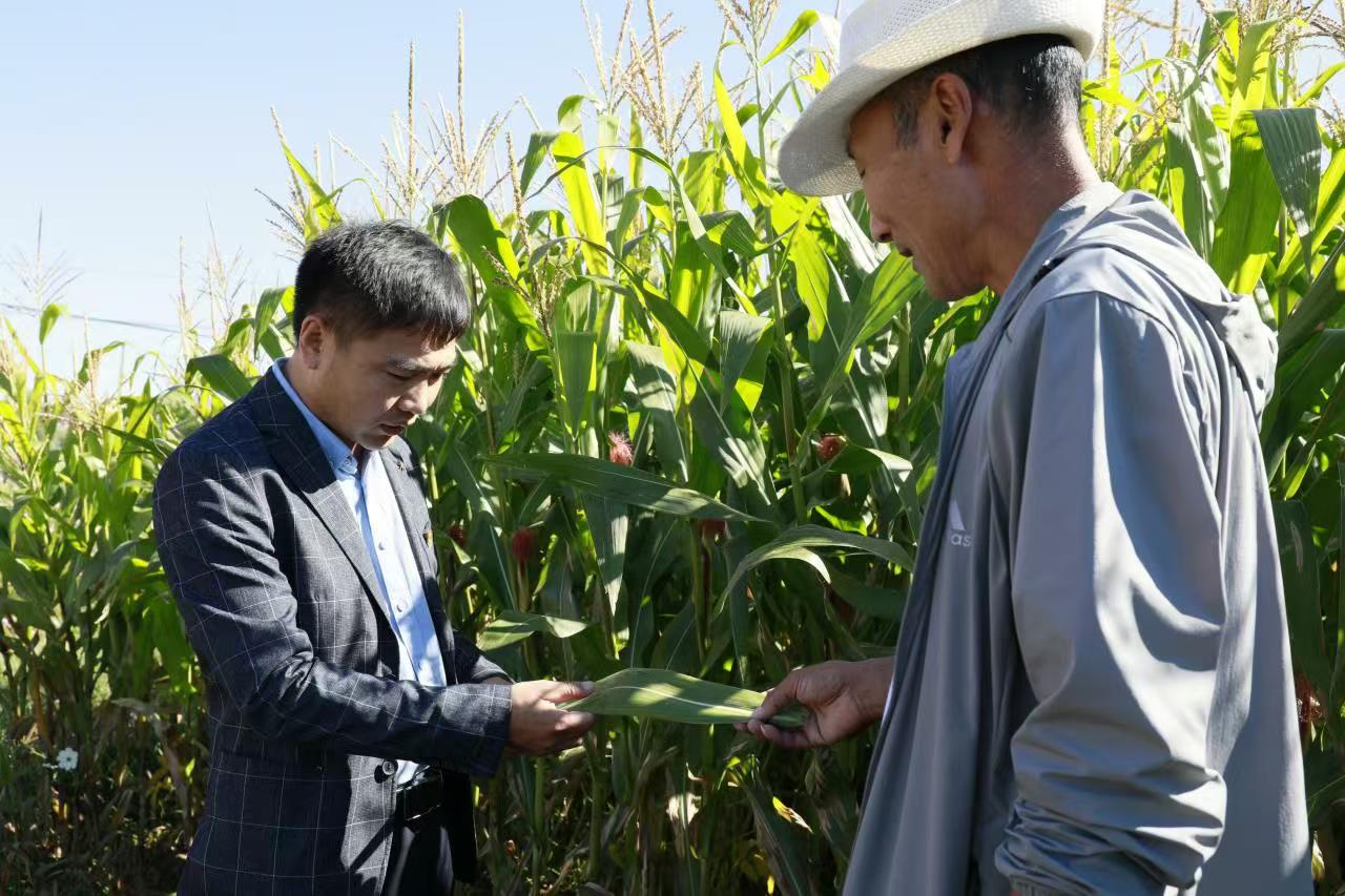 荒漠滋生希望：記庫倫旗阿拉達爾圖嘎查第一書記蘇和的扎根與振興